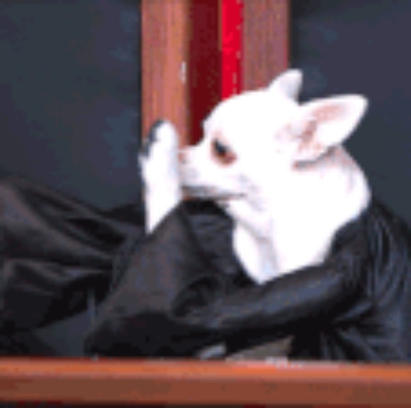 Meet your Posher, Kayla - Picture 1 of 1